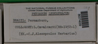 Image Associated With the Occurence